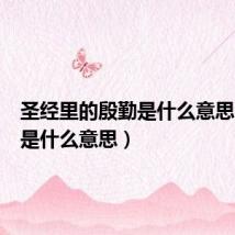圣经里的殷勤是什么意思(殷勤是什么意思)