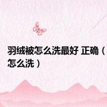 羽绒被怎么洗最好 正确(羽绒被怎么洗)