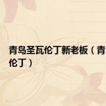 青岛圣瓦伦丁新老板（青岛圣瓦伦丁）