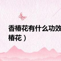 香椿花有什么功效（香椿花）
