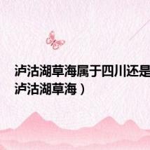 泸沽湖草海属于四川还是云南(泸沽湖草海)