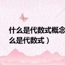什么是代数式概念（什么是代数式）