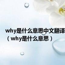 why是什么意思中文翻译怎么读(why是什么意思)