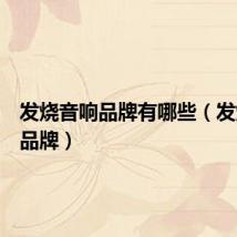 发烧音响品牌有哪些（发烧音响品牌）