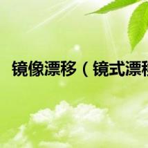 镜像漂移（镜式漂移）