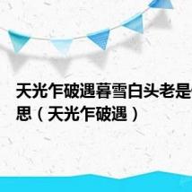 天光乍破遇暮雪白头老是什么意思(天光乍破遇)