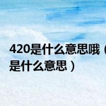 420是什么意思哦(4 20是什么意思)