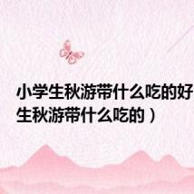 小学生秋游带什么吃的好(小学生秋游带什么吃的)