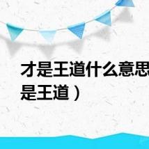 才是王道什么意思（才是王道）