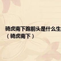 骑虎南下跑前头是什么生肖动物(骑虎南下)