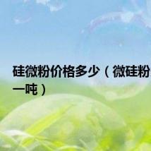 硅微粉价格多少（微硅粉多少钱一吨）
