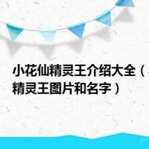 小花仙精灵王介绍大全(小花仙精灵王图片和名字)