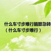 什么车寸步难行脑筋急转弯答案(什么车寸步难行)