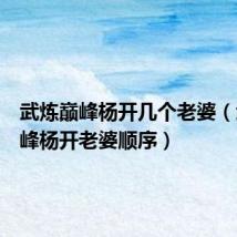 武炼巅峰杨开几个老婆(武炼巅峰杨开老婆顺序)