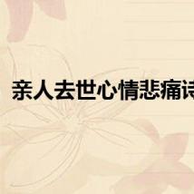 亲人去世心情悲痛诗句