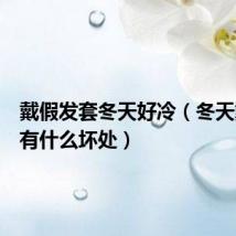 戴假发套冬天好冷(冬天戴假发有什么坏处)