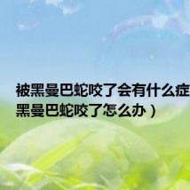 被黑曼巴蛇咬了会有什么症状(被黑曼巴蛇咬了怎么办)