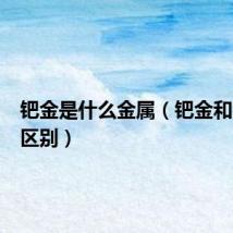 钯金是什么金属（钯金和铂金的区别）