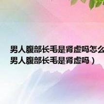男人腹部长毛是肾虚吗怎么调理(男人腹部长毛是肾虚吗)