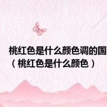 桃红色是什么颜色调的国画图片(桃红色是什么颜色)