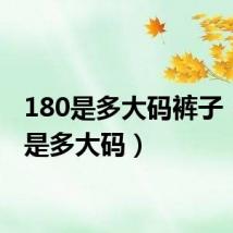 180是多大码裤子(180是多大码)