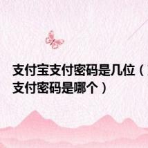 支付宝支付密码是几位(支付宝支付密码是哪个)