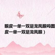 眼皮一单一双是龙凤眼吗图片(眼皮一单一双是龙凤眼)