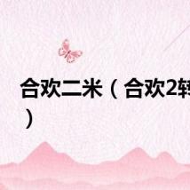 合欢二米（合欢2转答案）