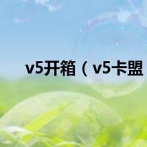 v5开箱（v5卡盟）