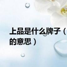 上品是什么牌子（上品的意思）