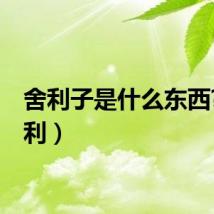 舍利子是什么东西?（舍利）