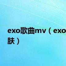 exo歌曲mv(exoqq皮肤)