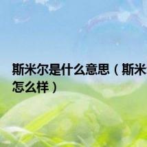 斯米尔是什么意思(斯米尔鞋子怎么样)