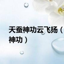 天蚕神功云飞扬（天蚕神功）