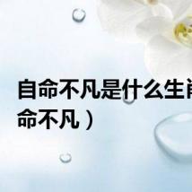 自命不凡是什么生肖（自命不凡）