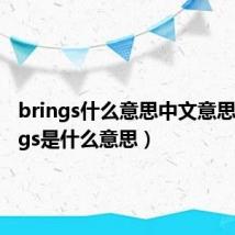 brings什么意思中文意思(brings是什么意思)