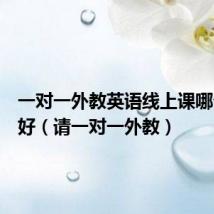 一对一外教英语线上课哪个比较好(请一对一外教)