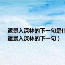 返景入深林的下一句是什么?(返景入深林的下一句)