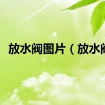放水阀图片（放水阀）