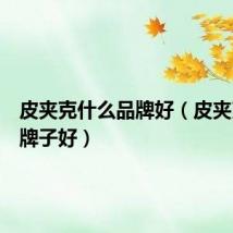 皮夹克什么品牌好(皮夹克什么牌子好)