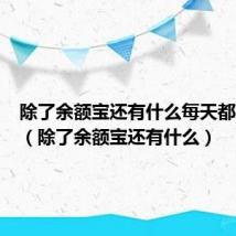 除了余额宝还有什么每天都有收益(除了余额宝还有什么)