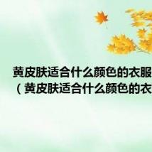 黄皮肤适合什么颜色的衣服冬季穿(黄皮肤适合什么颜色的衣服)