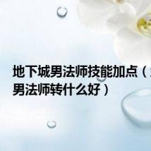 地下城男法师技能加点(地下城男法师转什么好)
