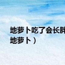 地萝卜吃了会长胖吗（地萝卜）
