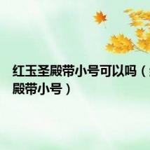 红玉圣殿带小号可以吗(红玉圣殿带小号)
