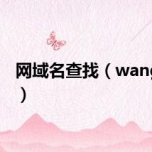 网域名查找（wang域名）