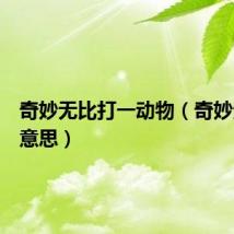 奇妙无比打一动物（奇妙无比的意思）