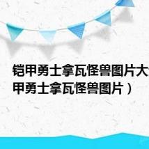 铠甲勇士拿瓦怪兽图片大全(铠甲勇士拿瓦怪兽图片)