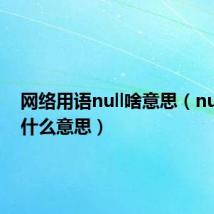 网络用语null啥意思(null网络什么意思)