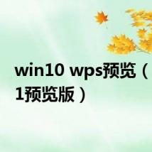 win10 wps预览(wp8 1预览版)
